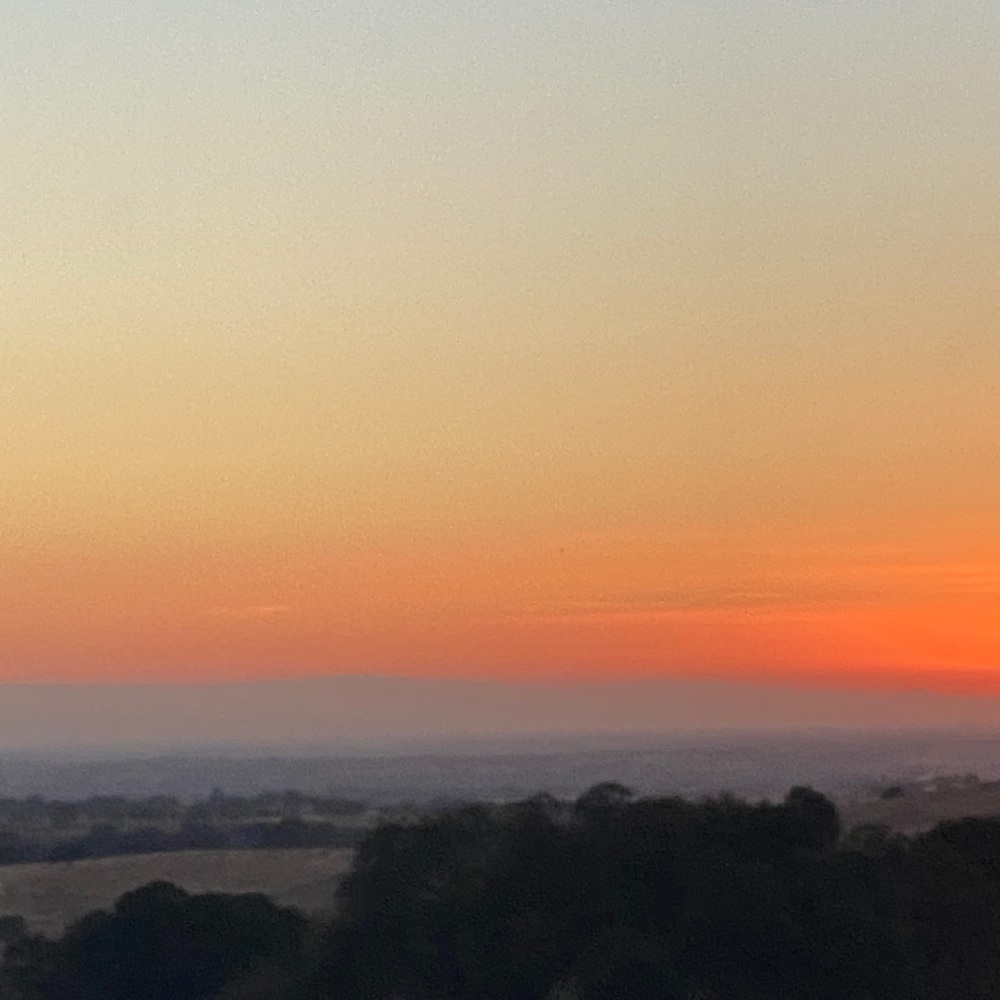 Meet your Posher, Sharee